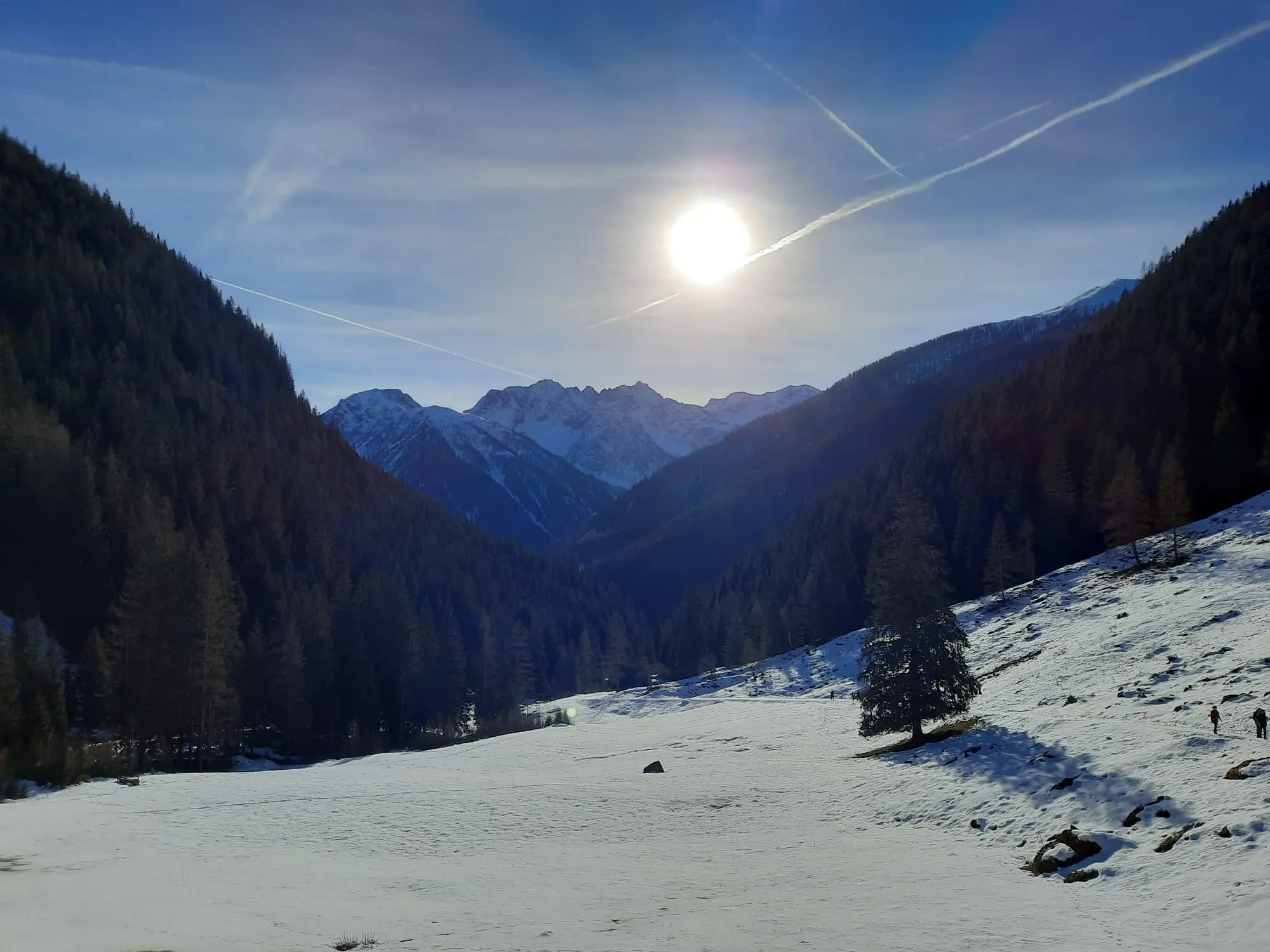 Snow in Val di Rabbi, Trentino