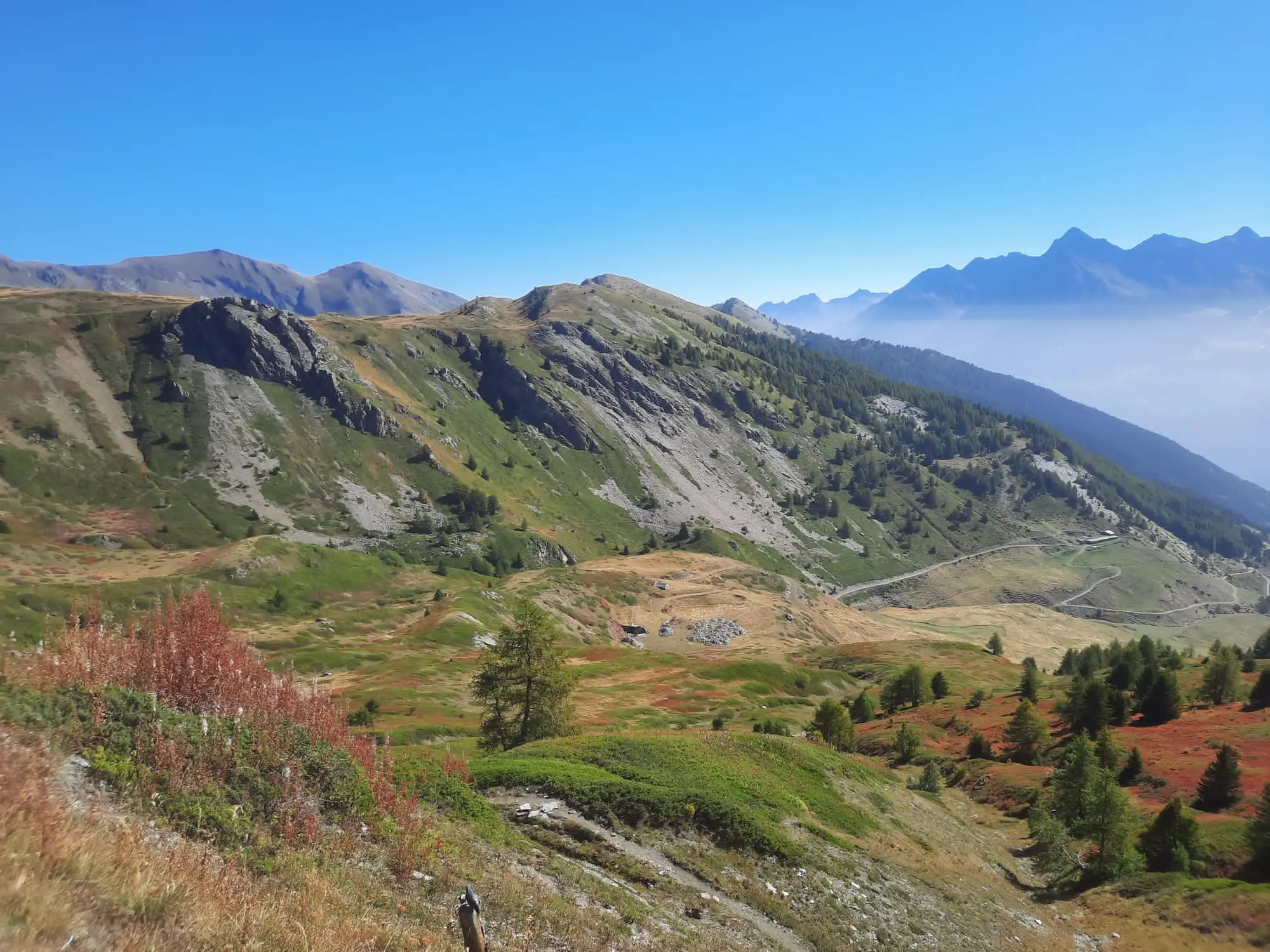 Foliage in Valle d'Aosta
