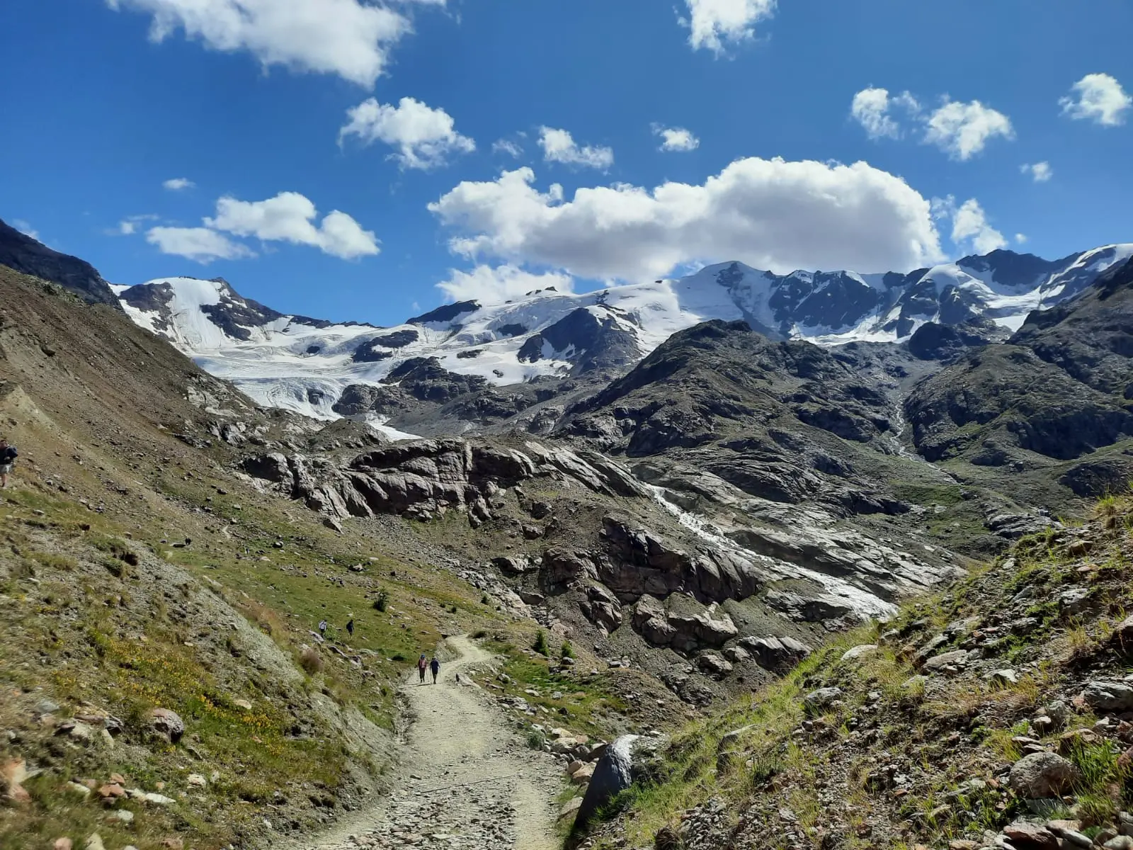 Mountains around the Forni Glacier